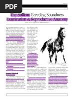 Stallion Penis Anatomy and Function | PDF | Reproduction | Sexual Anatomy
