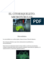 Citoesqueleto II. Microtubulos y Agrupaciones Complejas de Microtubulos