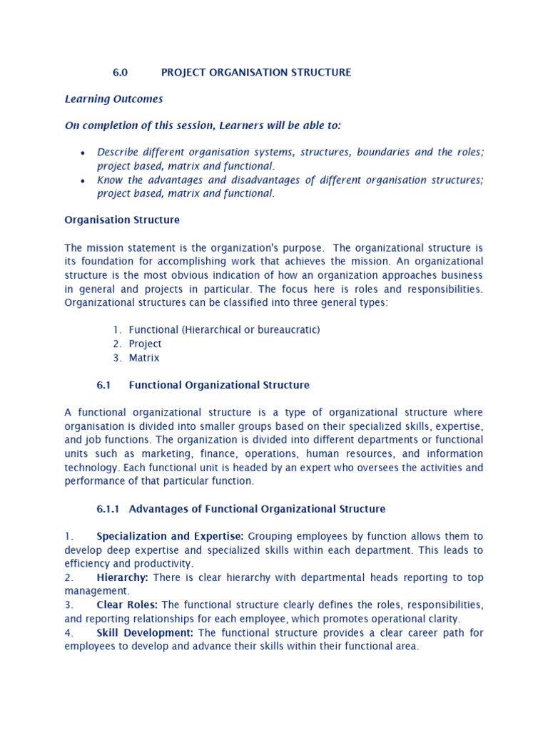 Project-Based Structure for IT Success | PDF | Organizational Structure ...