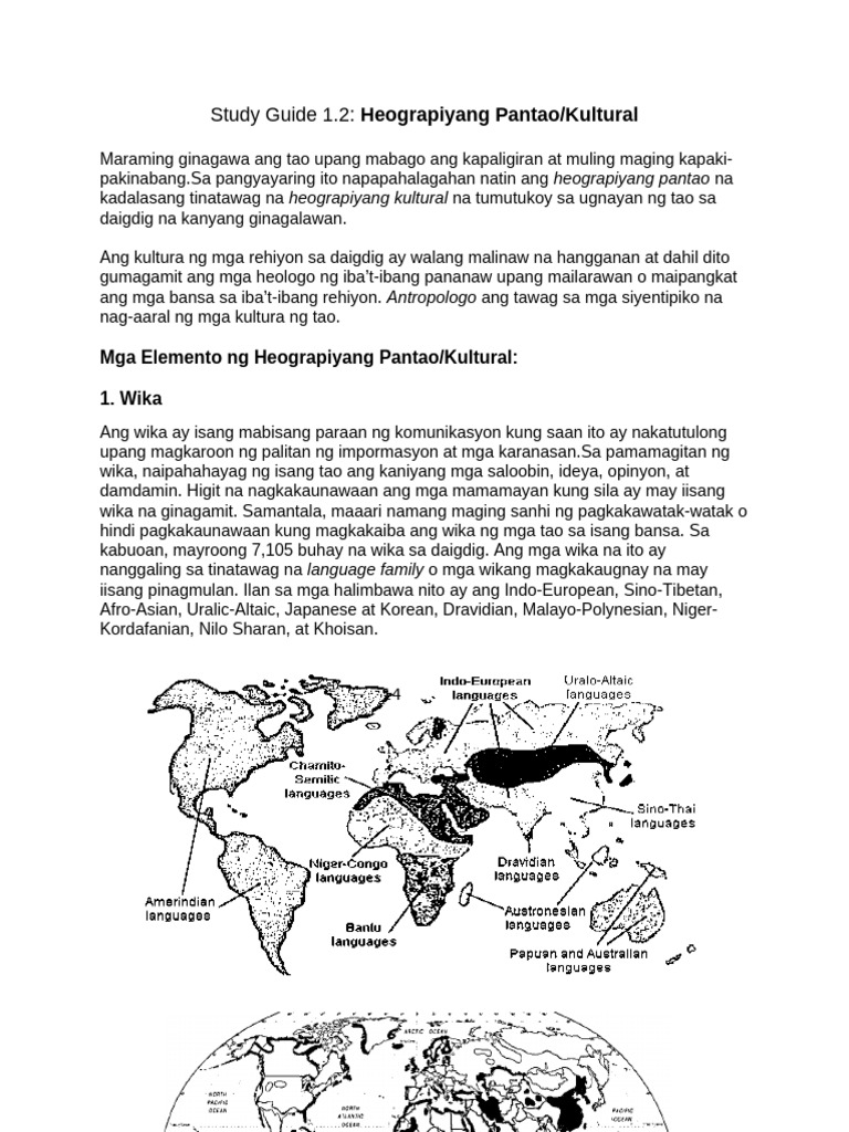 Study Guide 3 | PDF