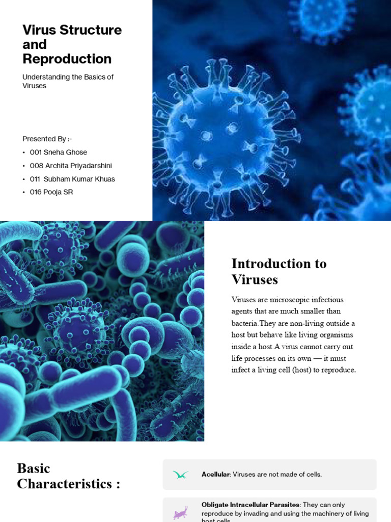 Virus Structure and Reproduction Basics | PDF | Virus | Bacteriophage