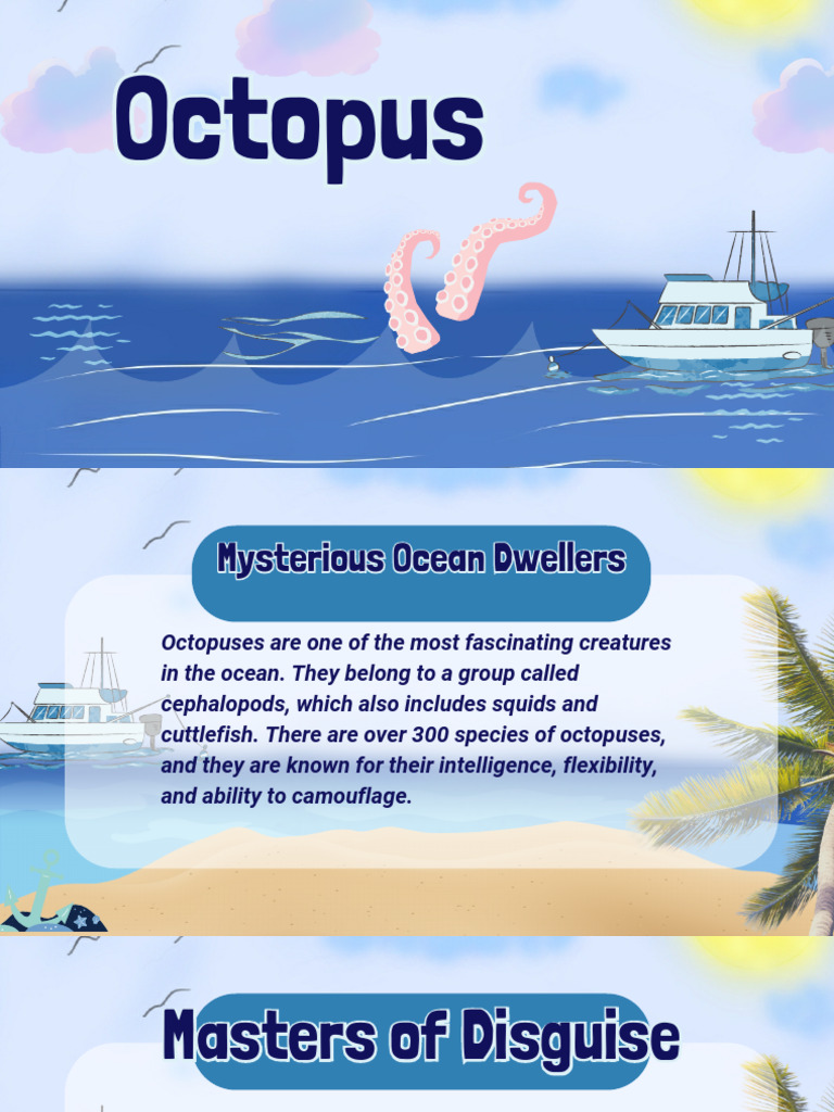Octopus 20250415 190504 0000 | PDF