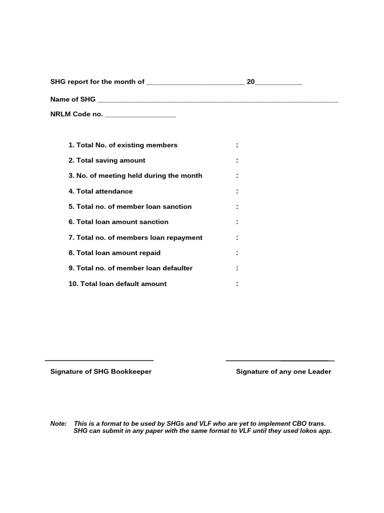 Monthly SHG Report Template | PDF