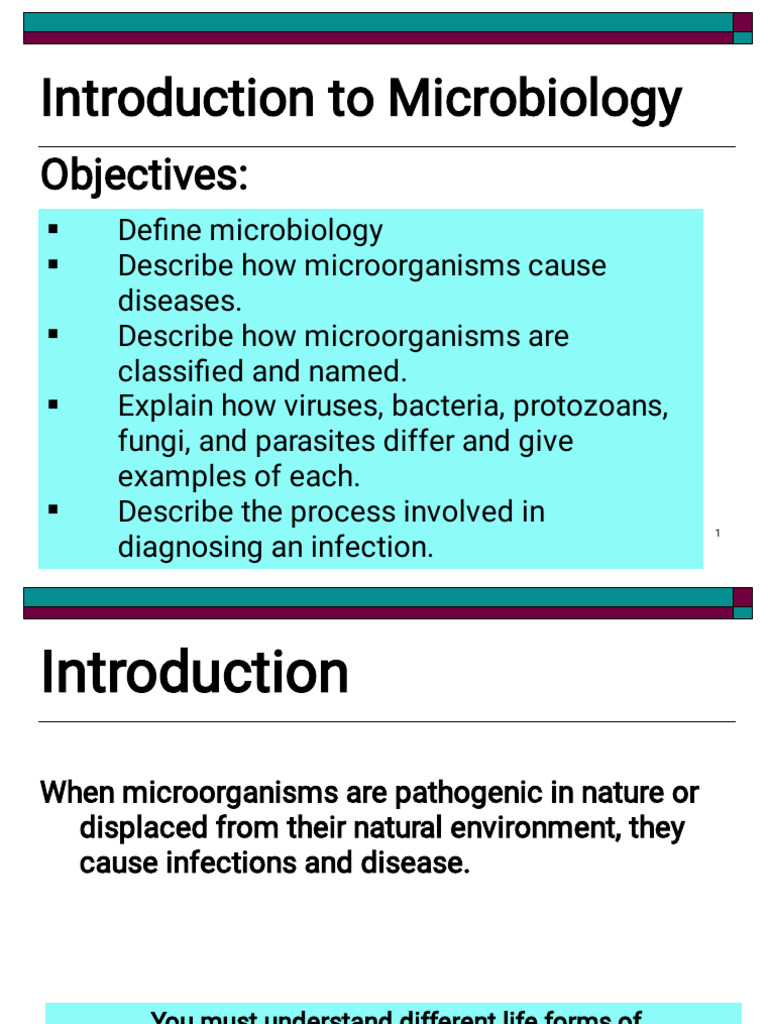 Introduction to Microbiology Basics | PDF | Bacteria | Cell (Biology)