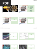 Types and Functions of Fish Scales | PDF | Fish | Aquatic Animals