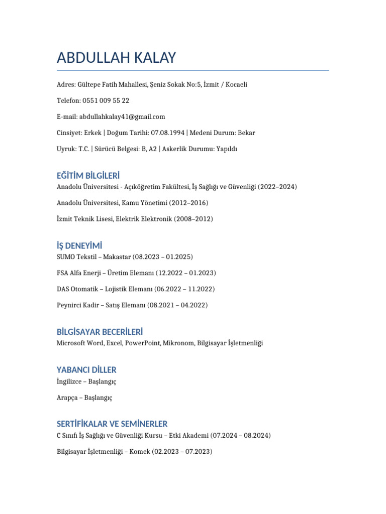 CV Abdullah Kalay | PDF