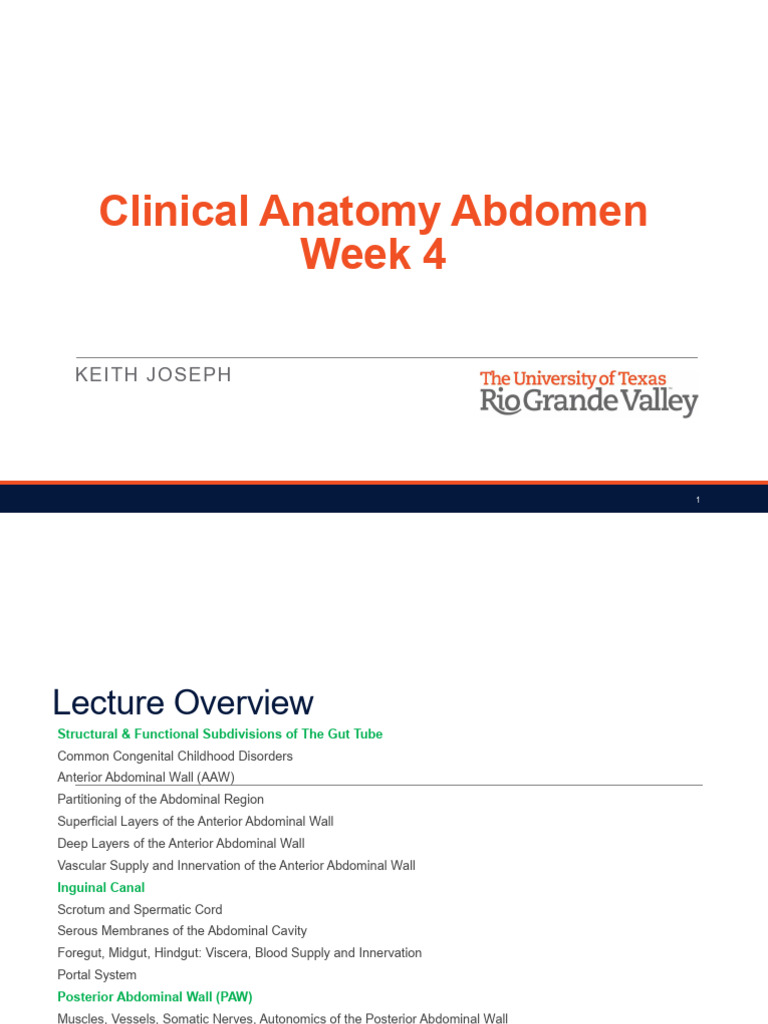 Clinical Anatomy of the Abdomen Overview | PDF | Abdomen | Peritoneum