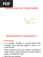 AFB Staining for Tuberculosis Diagnosis | PDF | Microscopy