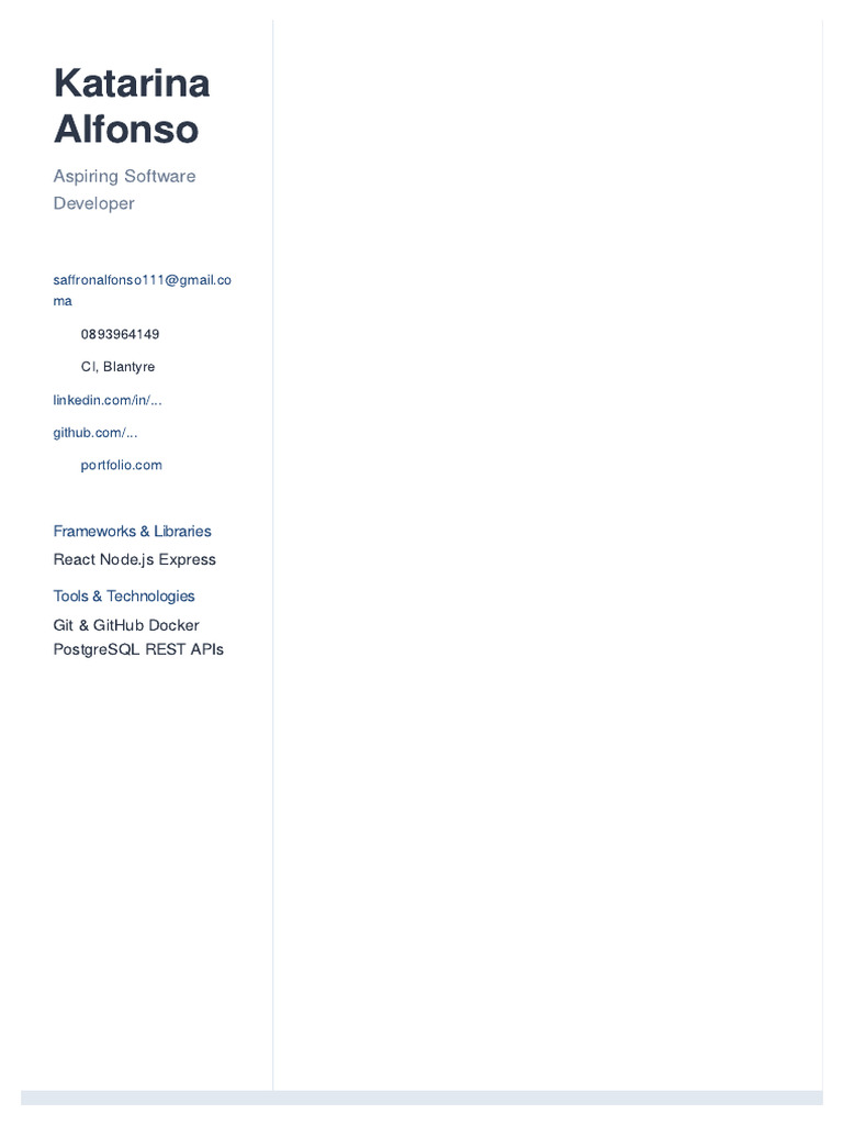 Aspiring Software Developer Profile | PDF