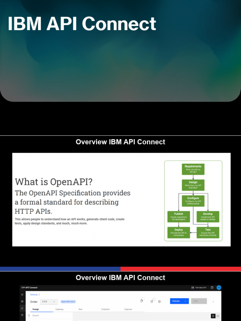 Ibm API Connect | PDF