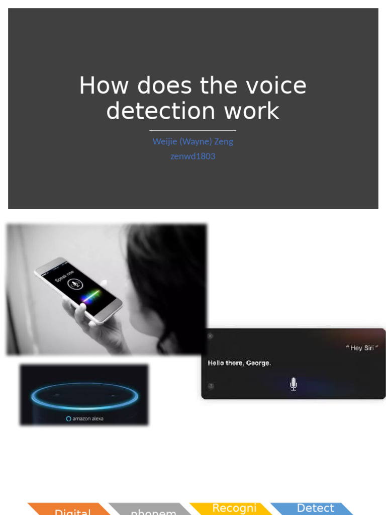 Understanding Voice Detection Process | PDF