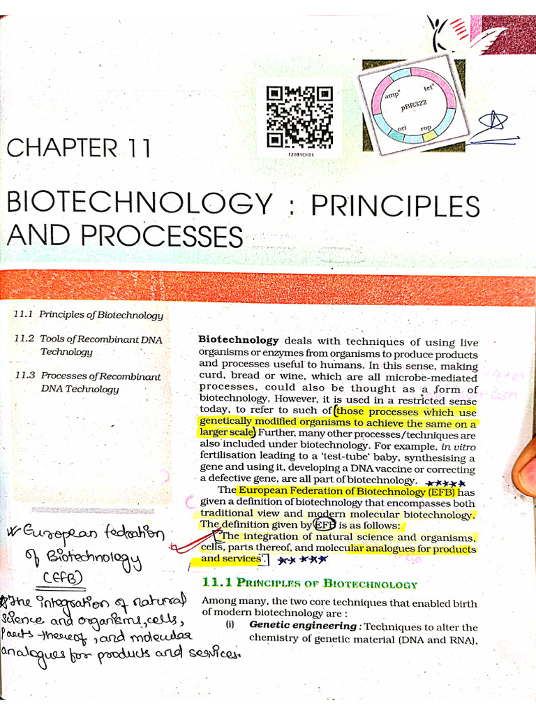 Biotechnology - Principal and Processes | PDF