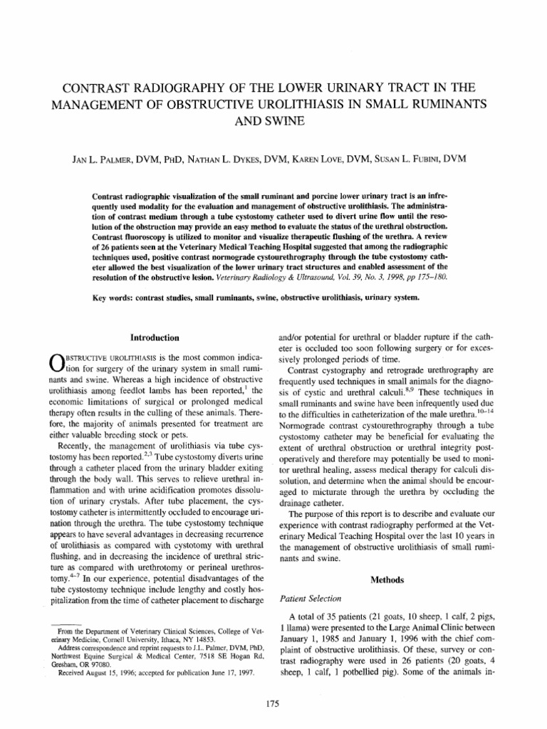Vet Radiology Ultrasound - 2005 - Palmer - Contrast Radiography of The ...