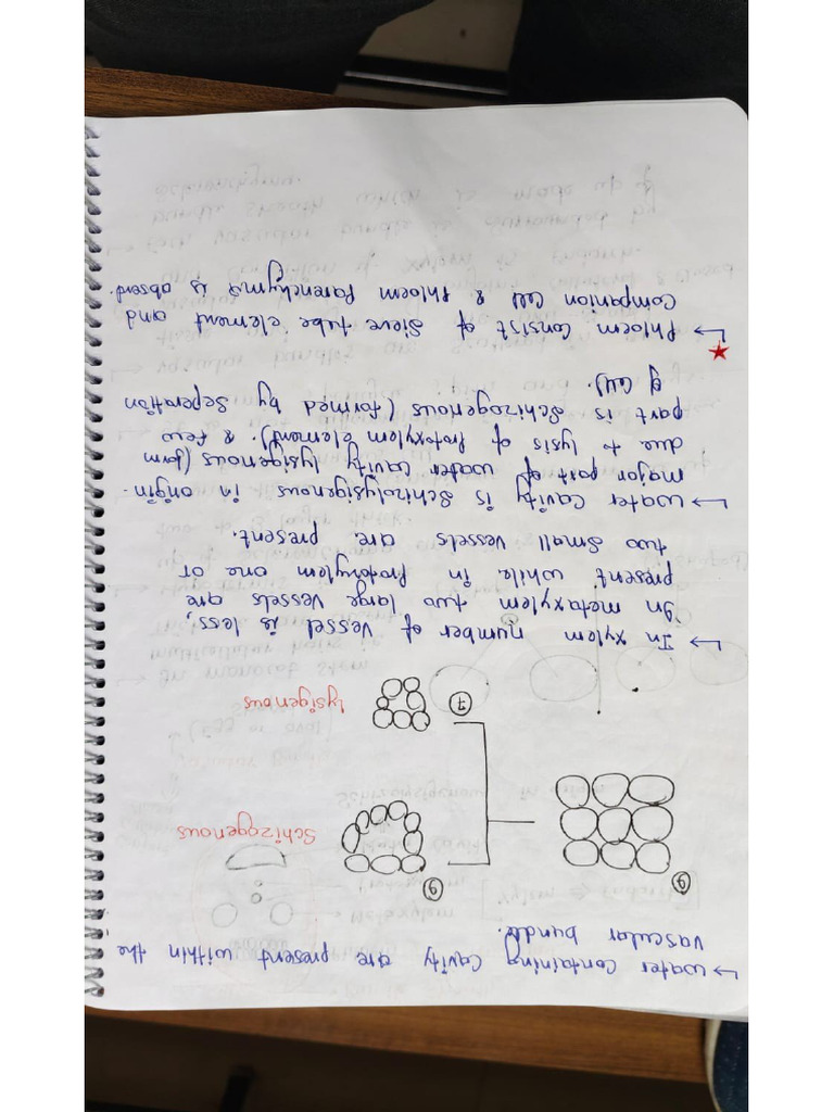 Allen Notes | PDF