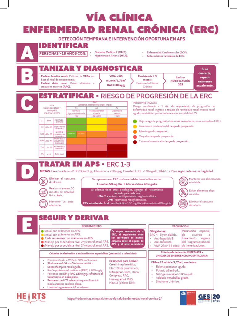 Guía de Detección y Manejo de ERC | PDF | Hipertensión | Medicina CLINICA