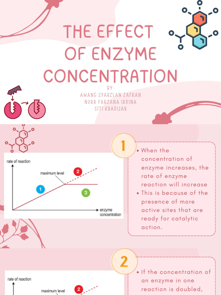 Impact of Enzyme Concentration on Reactions | PDF