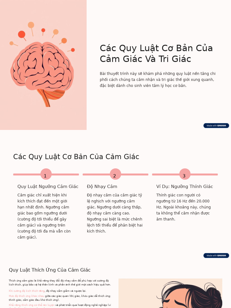 Cac Quy Luat Co Ban Cua Cam Giac Va Tri Giac | PDF