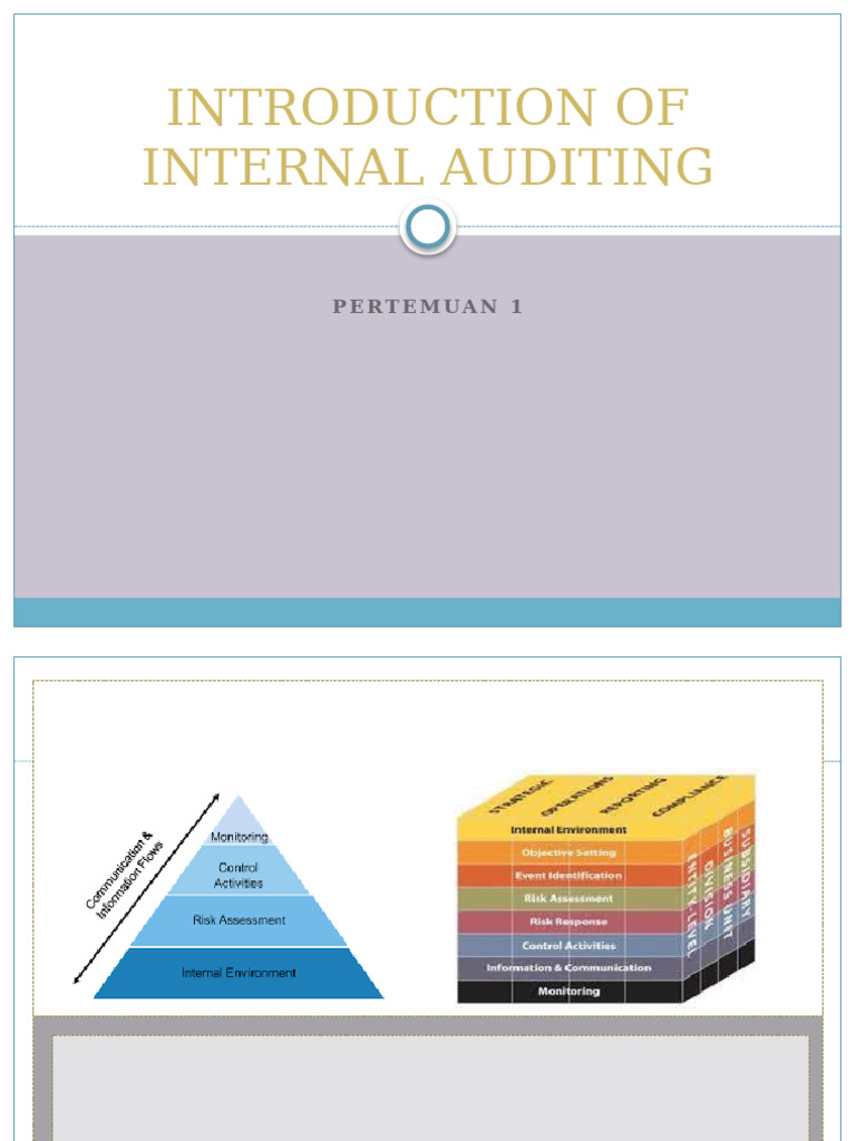 Internal Auditing and COSO Framework Overview | PDF | Internal Control ...