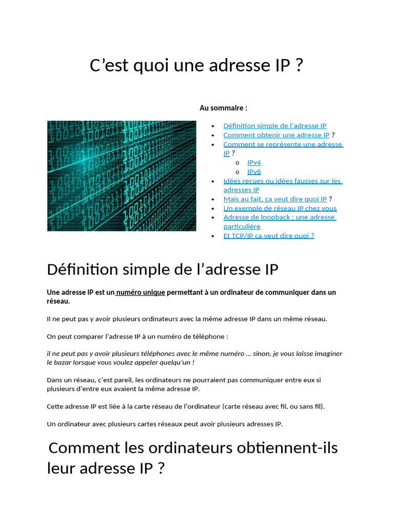 Comprendre l'adresse IP en 7 points | PDF | Adresse IP | Protocoles ...
