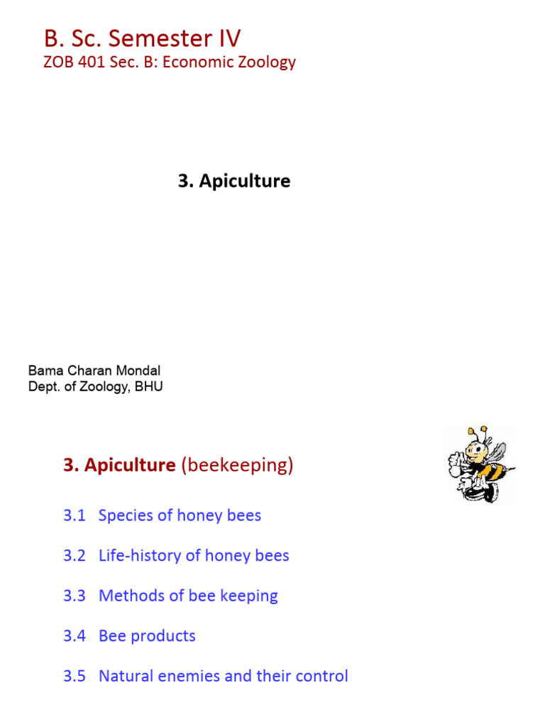 Apiculture-BCM Students | PDF | Beehive | Honey Bee