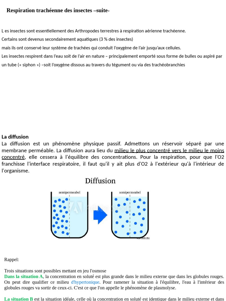 Respiration et diffusion chez les insectes | PDF | Biologie