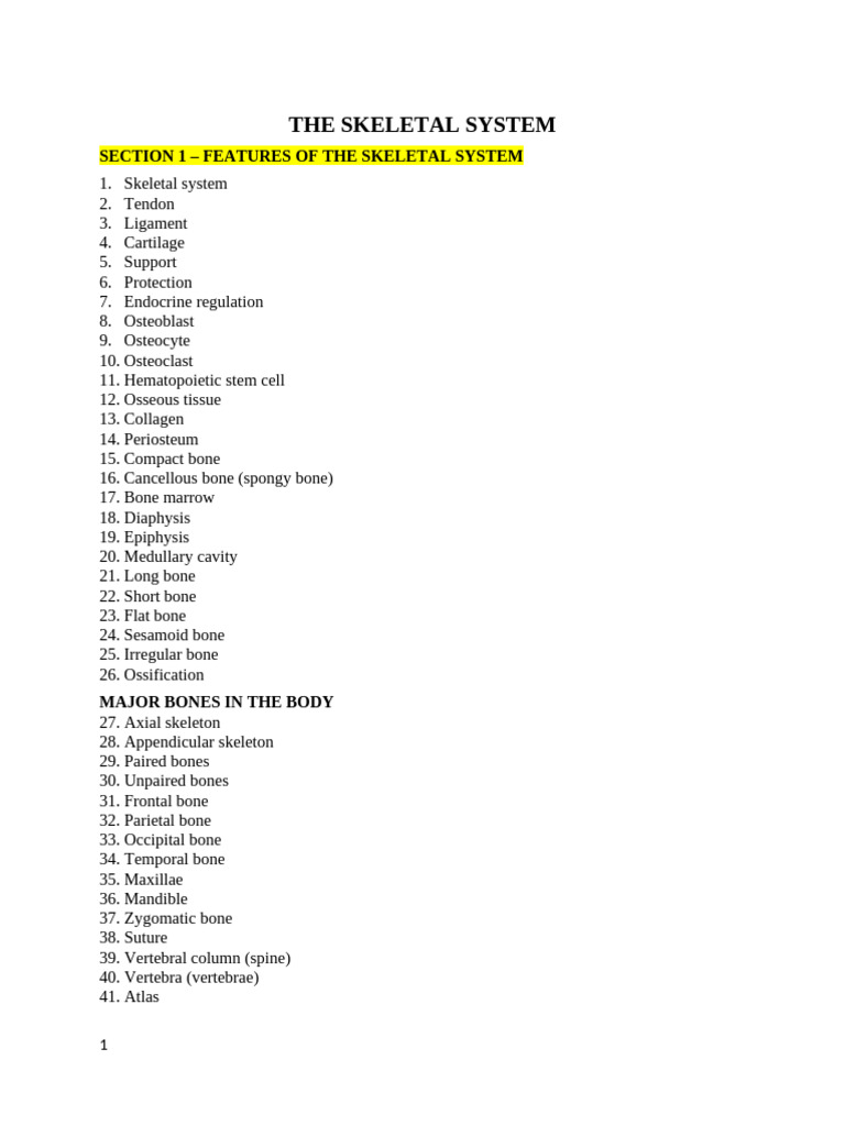 Word List - The Skeletal System | PDF