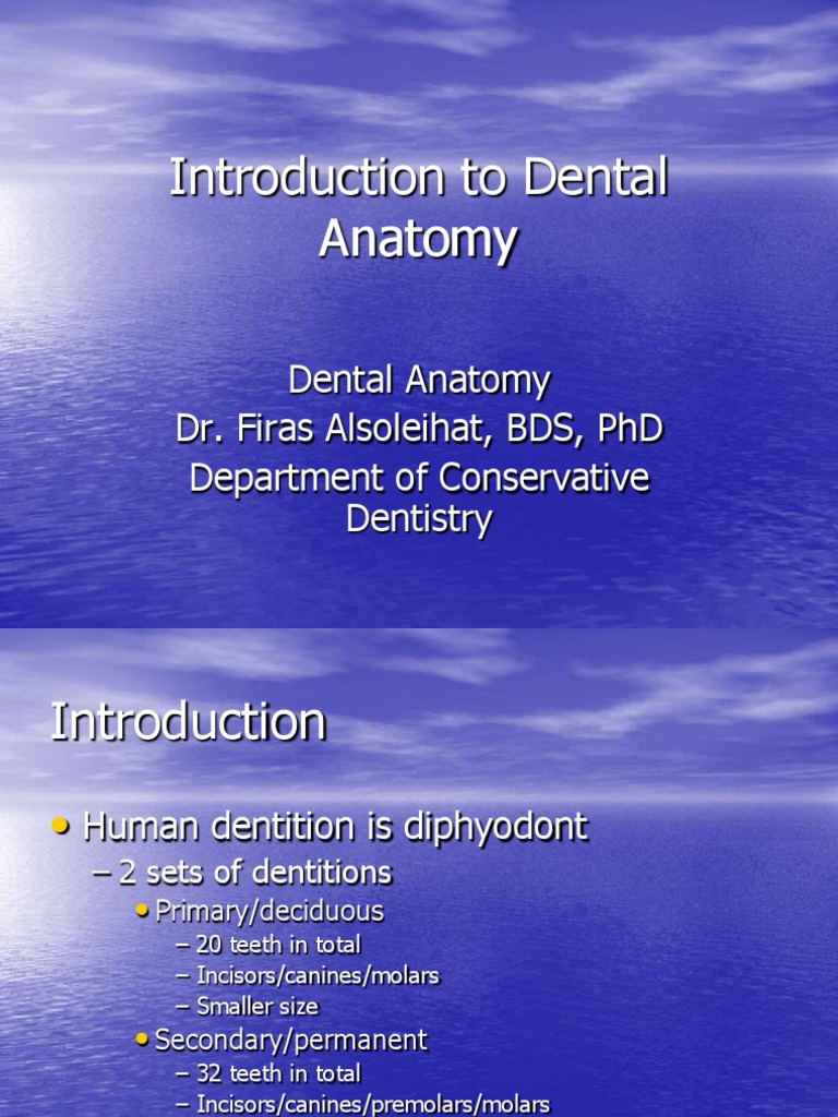 Overview of Human Dental Anatomy | PDF | Dental Anatomy | Tooth