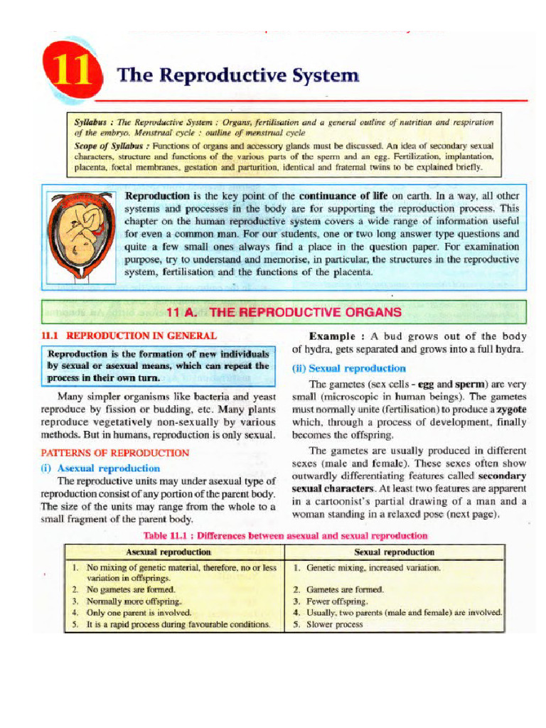 Reproduction - Class 10 | PDF