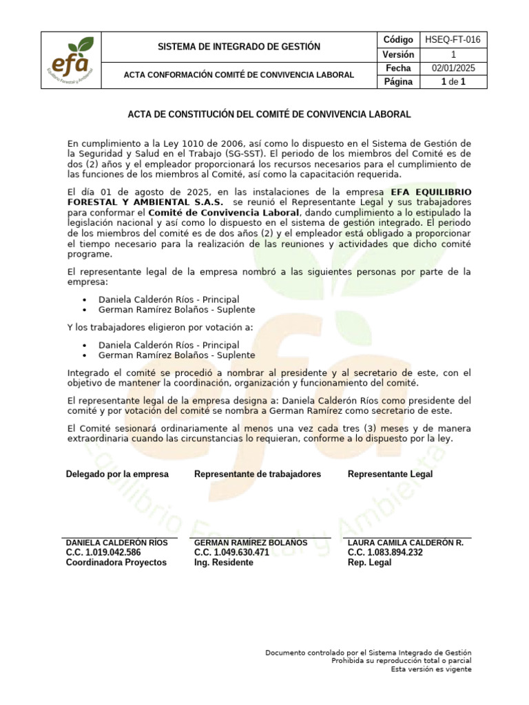HSEQ-FT-016 Acta de Conformación COCOLAB V1 | PDF | Gobierno