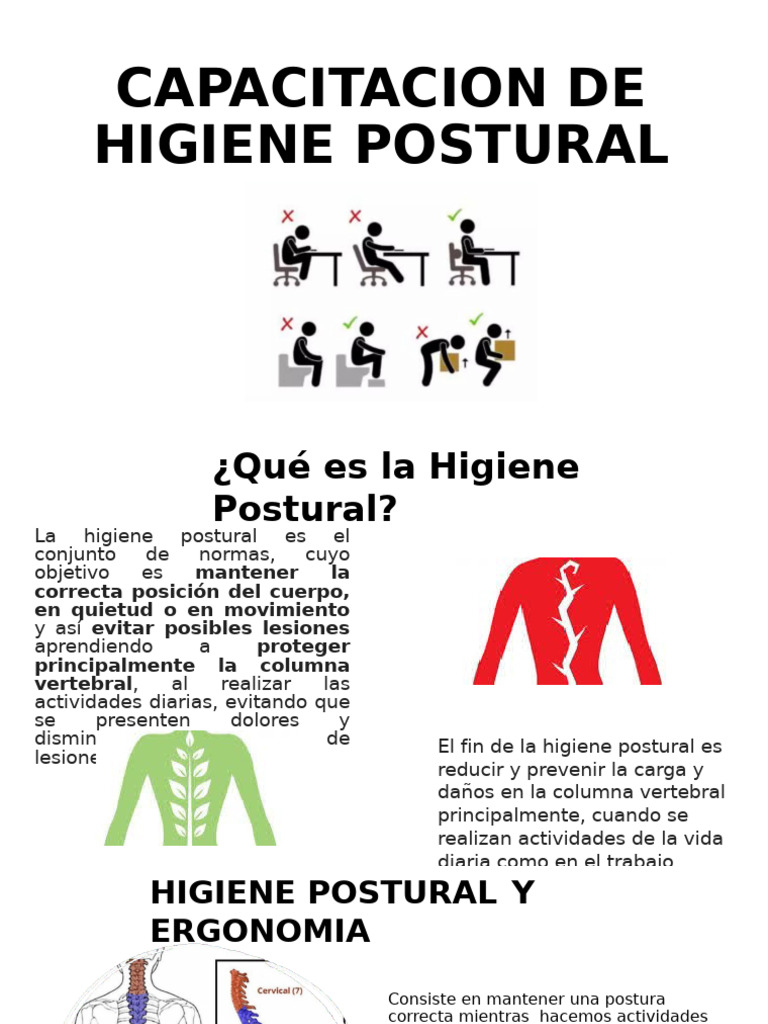 Higiene Postural: Prevención de Lesiones | PDF | Dolor lumbar | Sistema ...