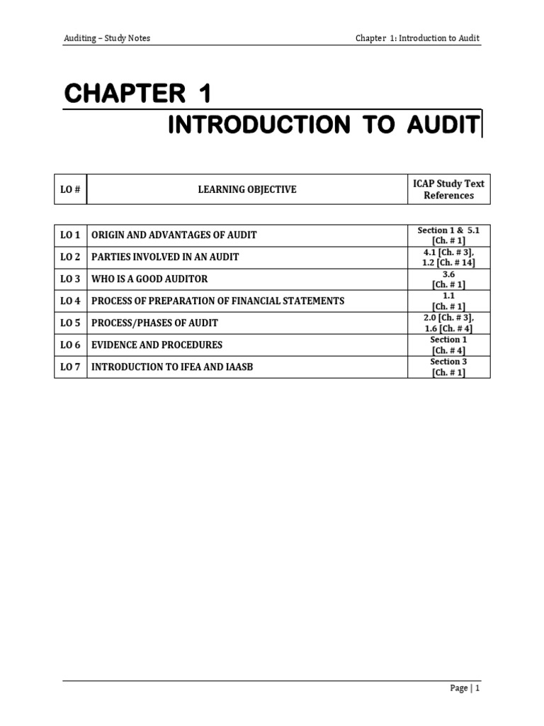 Introduction to Auditing Concepts | PDF | Audit | Financial Audit