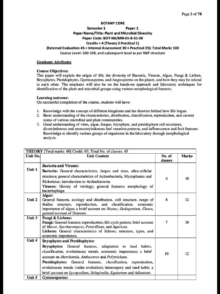 1st SEM Syllabus | PDF