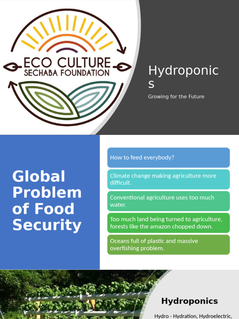 Pridwin Hydroponics | PDF | Hydroponics | Botany