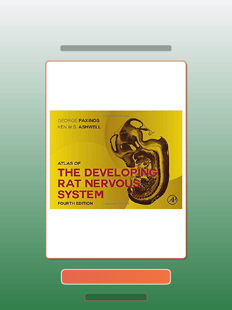 Atlas of The Developing Rat Nervous System 4th Edition by George ...