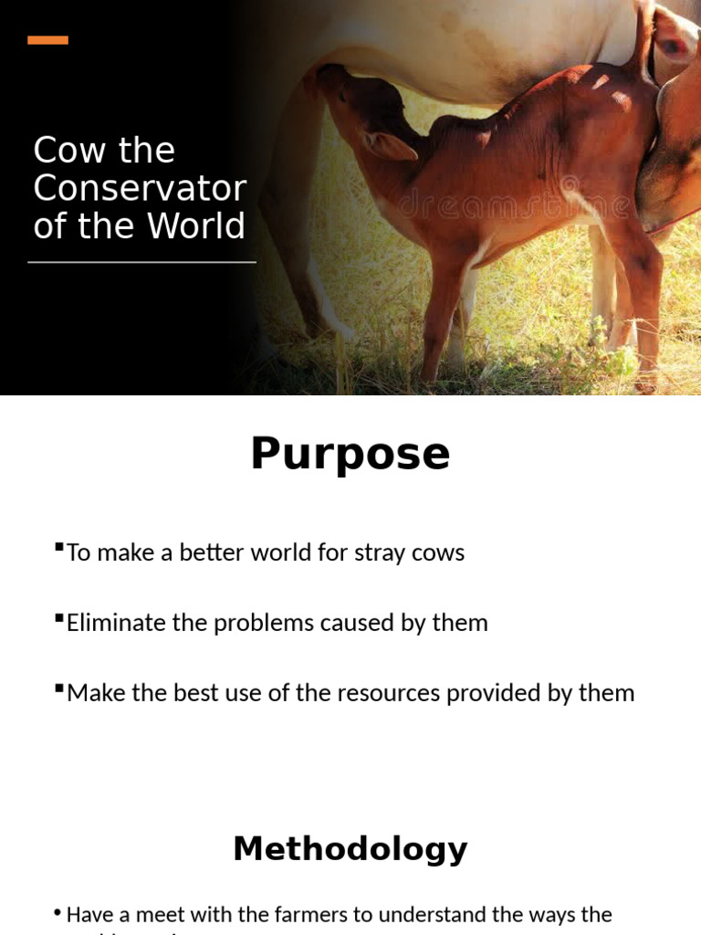 Cow The Conservator of The World | PDF