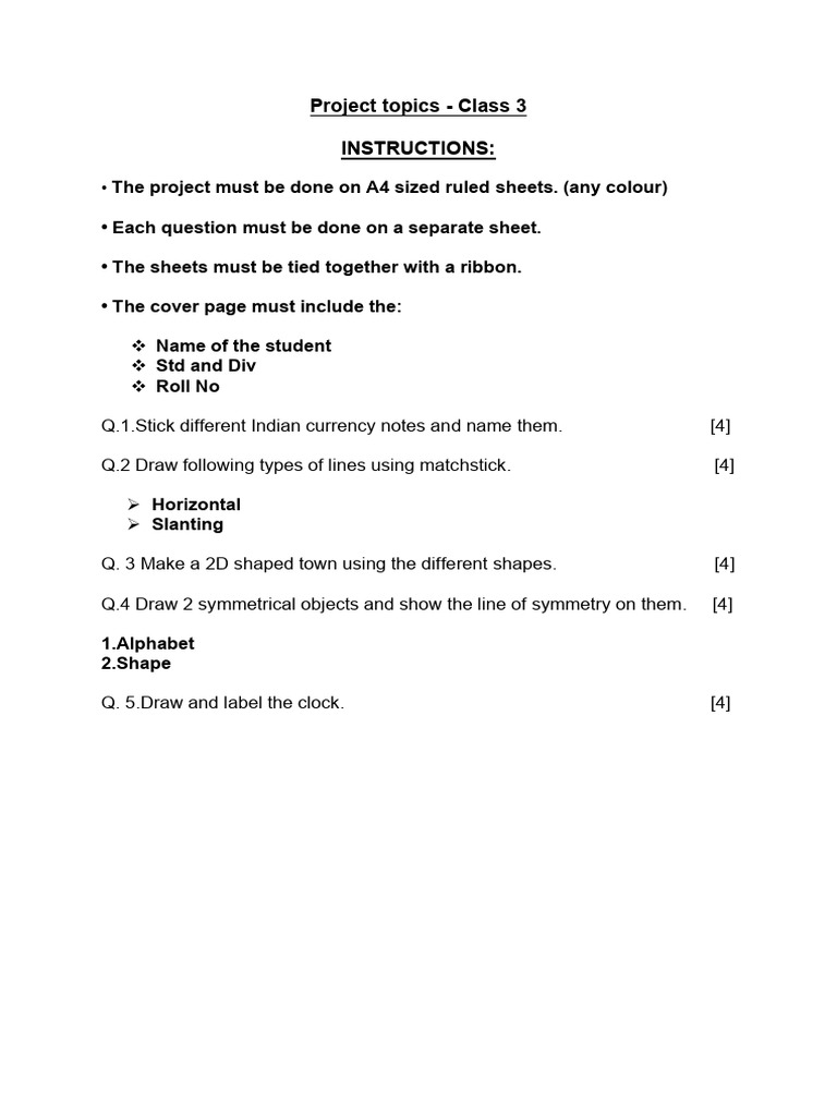 Class 3 Project Guidelines and Topics | PDF
