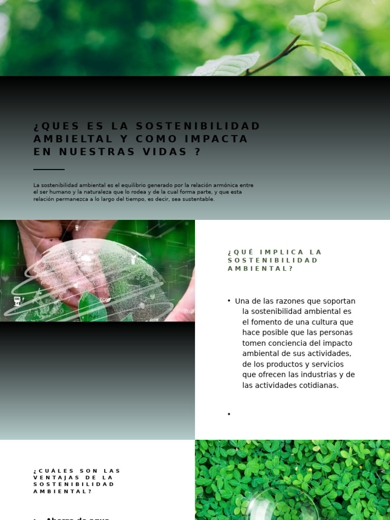 Impacto de la Sostenibilidad Ambiental | PDF | Sustentabilidad ...