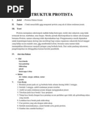 Download STRUKTUR PROTISTA by Martha Dina SN93017077 doc pdf