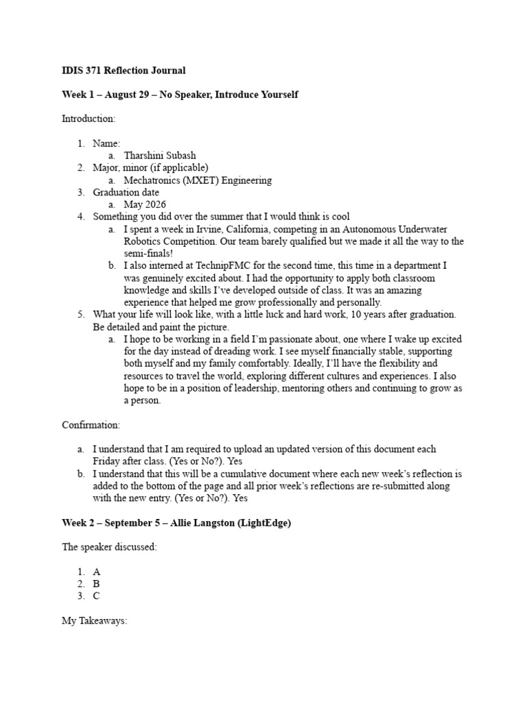 IDIS 371 Reflection Journal | PDF