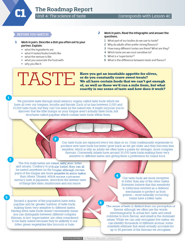 Roadmap Report c1 Unit | PDF | Taste | Umami
