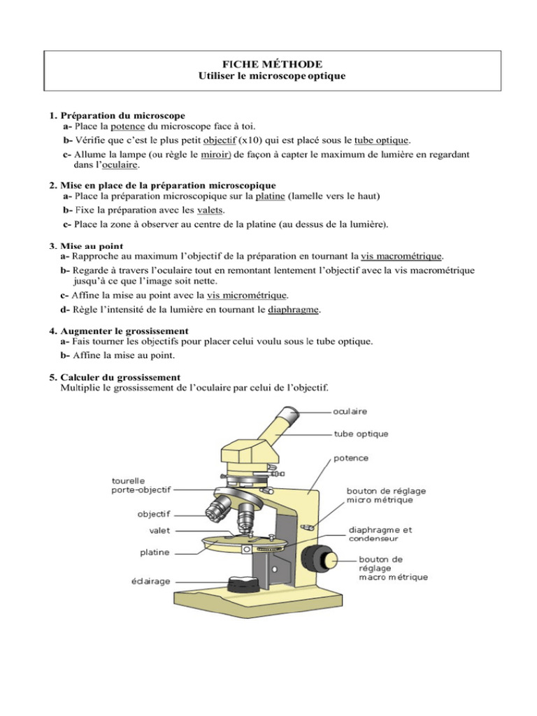Microscope PNG | PDF