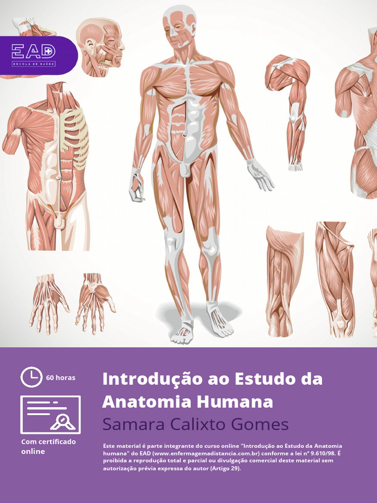 Apostila Do Curso Introducao Ao Estudo Da Anatomia Humana | PDF ...