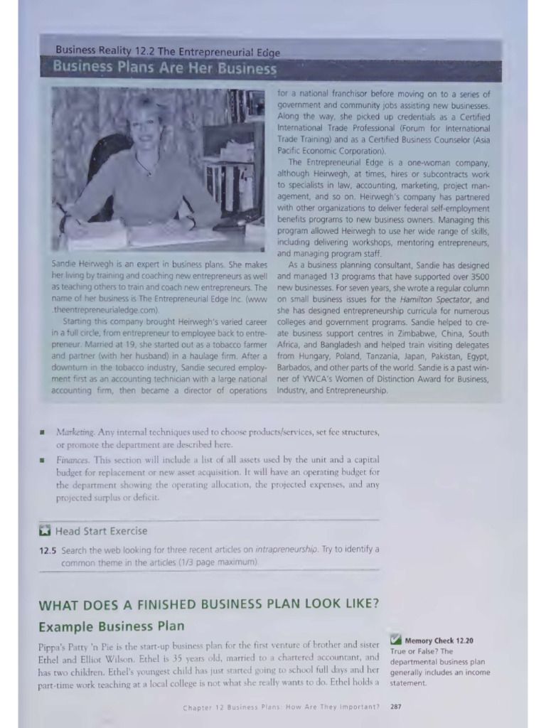 Business Plan Sample | PDF