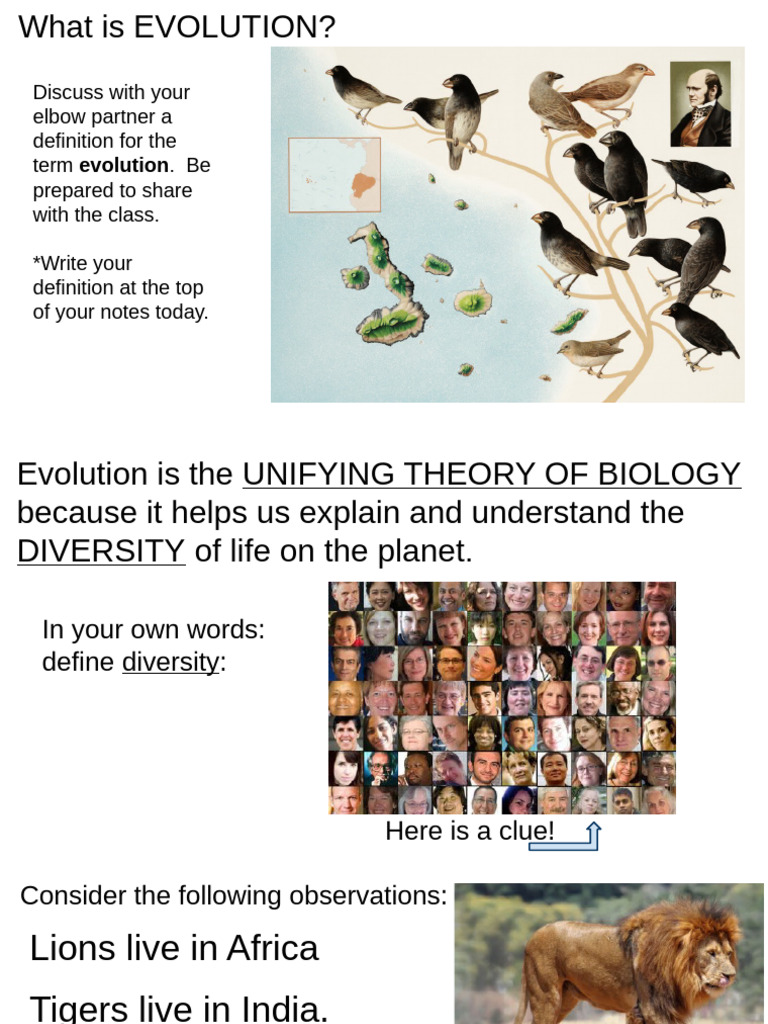 Understanding Evolution and Diversity | PDF | Evolution | Biology