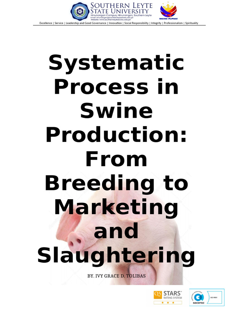 Systematic Process in Swine Production - Docx Final | PDF | Pig ...