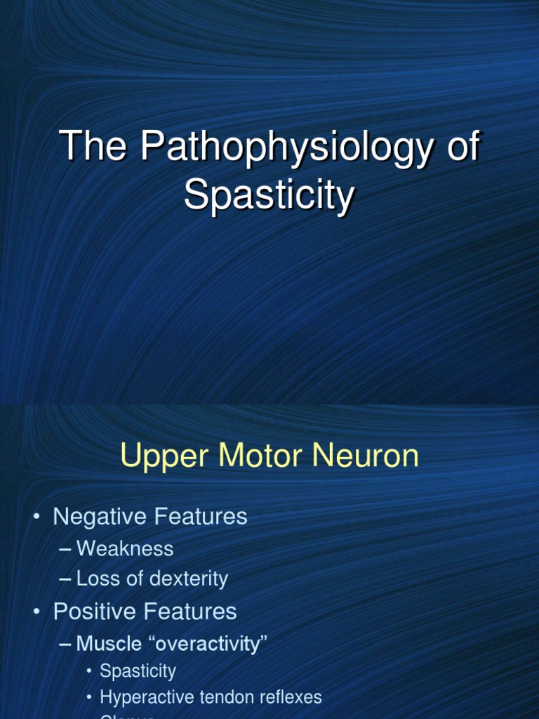 Pathophysiology of Spasticity Explained | PDF | Nervous System ...