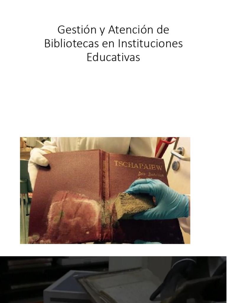 Gestión y Atención de Bibliotecas en Instituciones Educativas S1 | PDF
