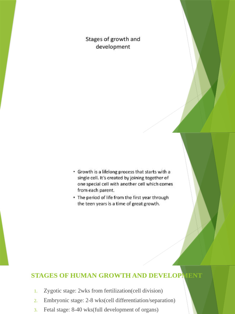 Stages of Growth and Development | PDF | Fetus | Prenatal Development