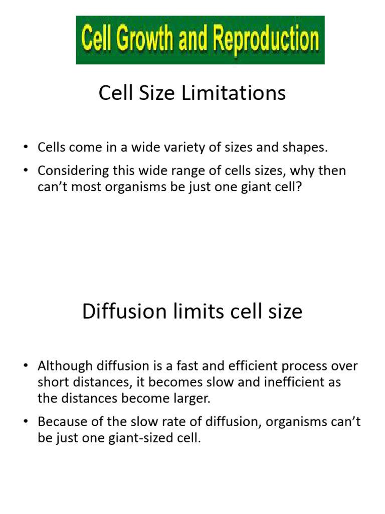 LE 9 Cell Reproduction Cancer 14-15 | PDF | Mitosis | Chromosome