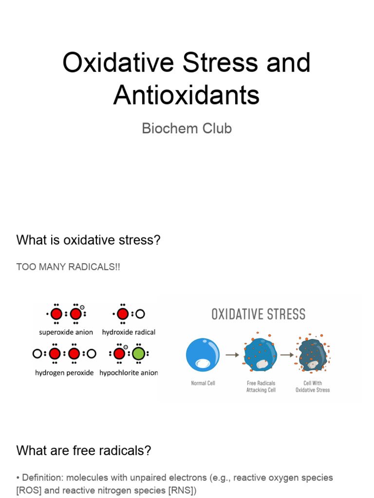 Understanding Oxidative Stress & Antioxidants | PDF | Reactive Oxygen ...
